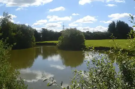 White Swan Fishing Lake